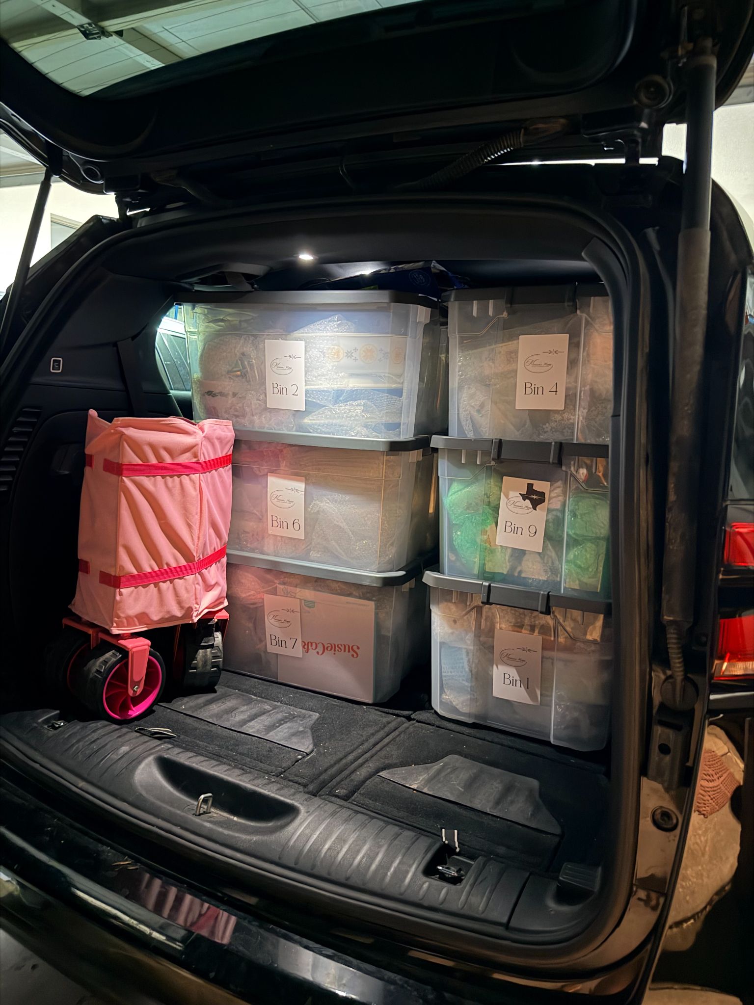 The back of an SUV packed tight with labeled plastic storage bins